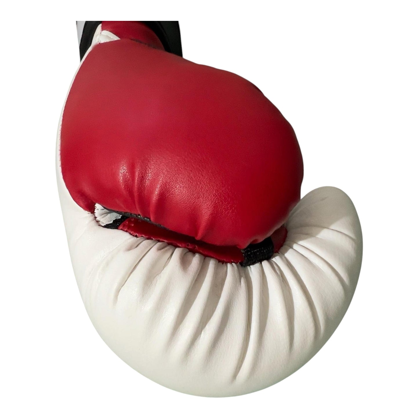 Boxing Gloves Brand new