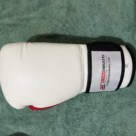 Boxing Gloves Brand new pro- style