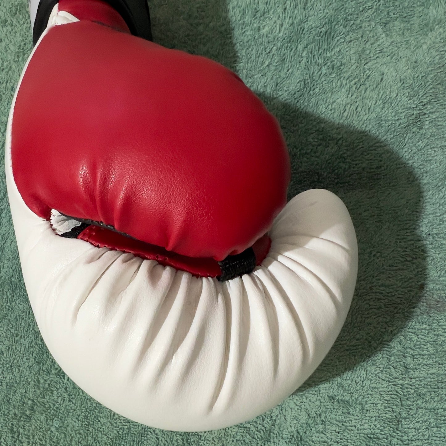 Boxing Gloves Brand new pro- style